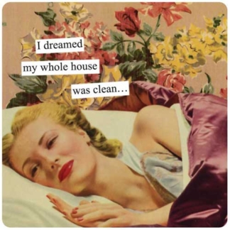 Anne Taintor Magnet I Dreamed My Whole House Was Clean