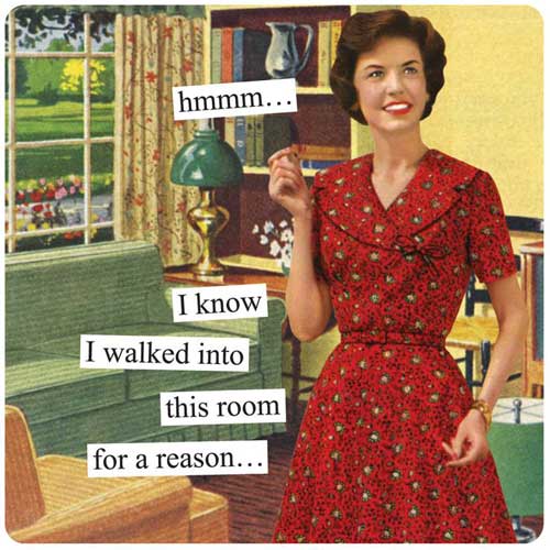 Anne Taintor Magnet Hmmm…I Know I Walked Into This Room For A Reason |  Happy Clam Gifts