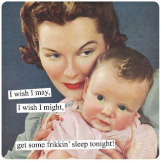Anne Taintor Magnet I Wish I May, I Wish I Might, Get Some Frikkin' Sleep Tonight!