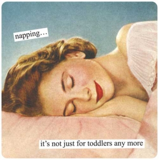 Anne Taintor Magnet Napping...It's Not Just For Toddlers Anymore