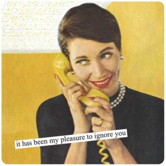 Anne Taintor Magnet It Has Been My Pleasure To Ignore You