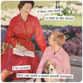 Anne Taintor Magnet If They Can Send A Man To The Moon I'm Certain They Can Send A Smart Mouth Teenager