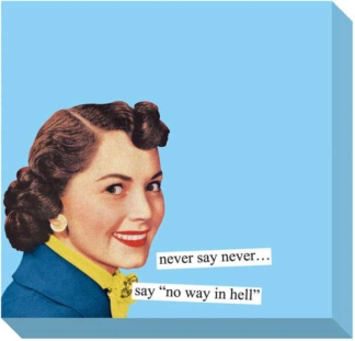 Anne Taintor Sticky Notes Never Say Never...Say No Way In Hell