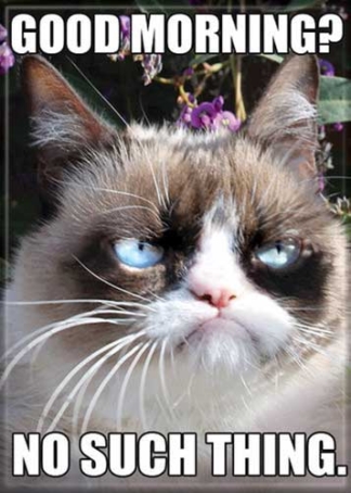 Ata-Boy Magnet Grumpy Cat Good Morning? No Such Thing