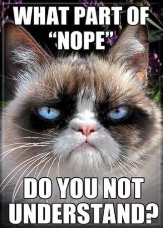 Ata-Boy Magnet Grumpy Cat What Part Of "Nope" Do You Not Understand