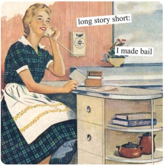 Anne Taintor Magnet Long Story Short: I Made Bail